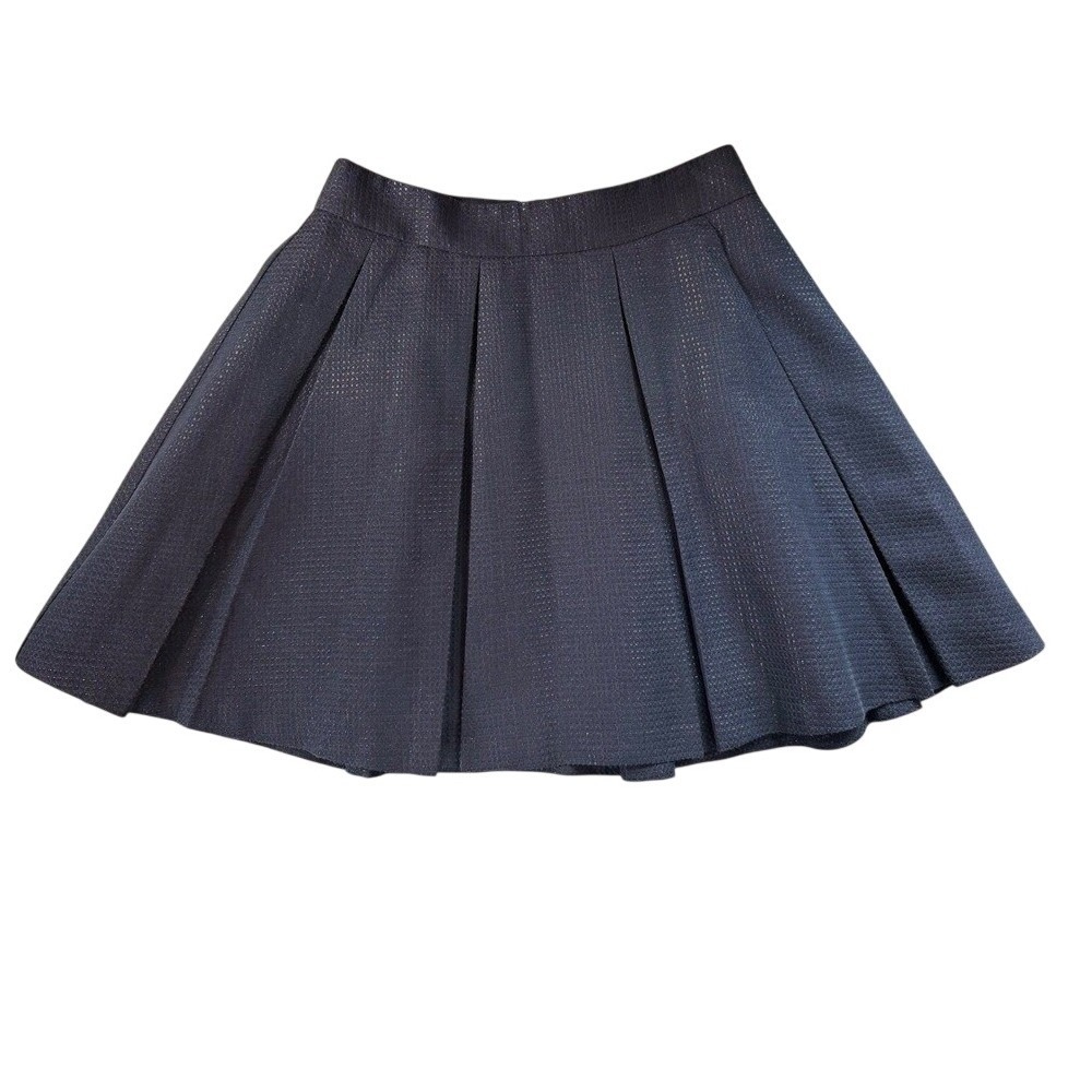 Banana Republic Navy Blue Metallic Jacquard Pleated Mini Skirt Petite 0 Zip Back